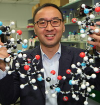 Professor Xuechen LI